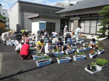 栄町での花苗植え込み作業の様子