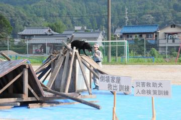 災害救助犬デモンストレーション