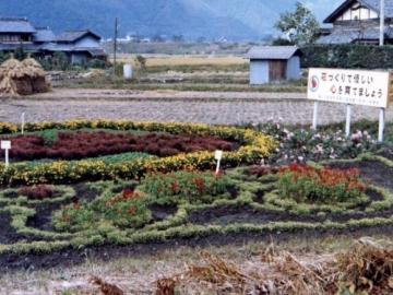 花かざり運動の様子