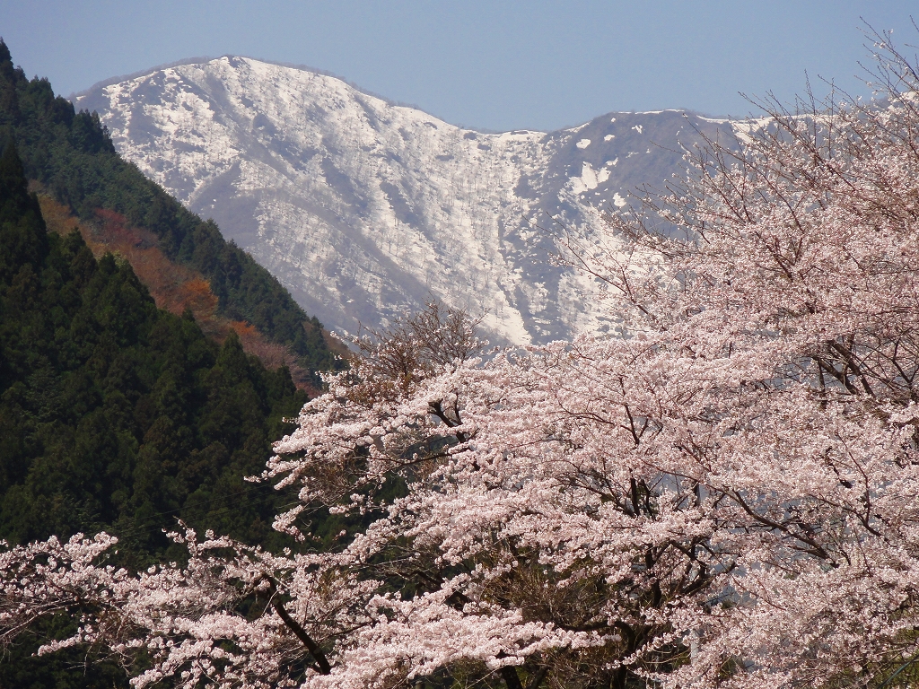 春日中学校からの山並み