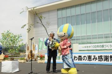 苗木の引渡し