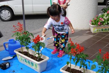 水やりの様子