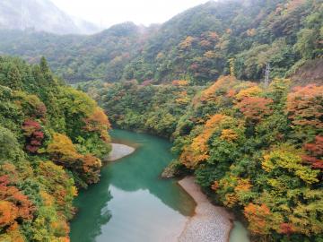 紅葉の様子