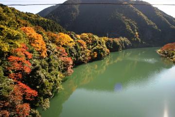 紅葉の様子2