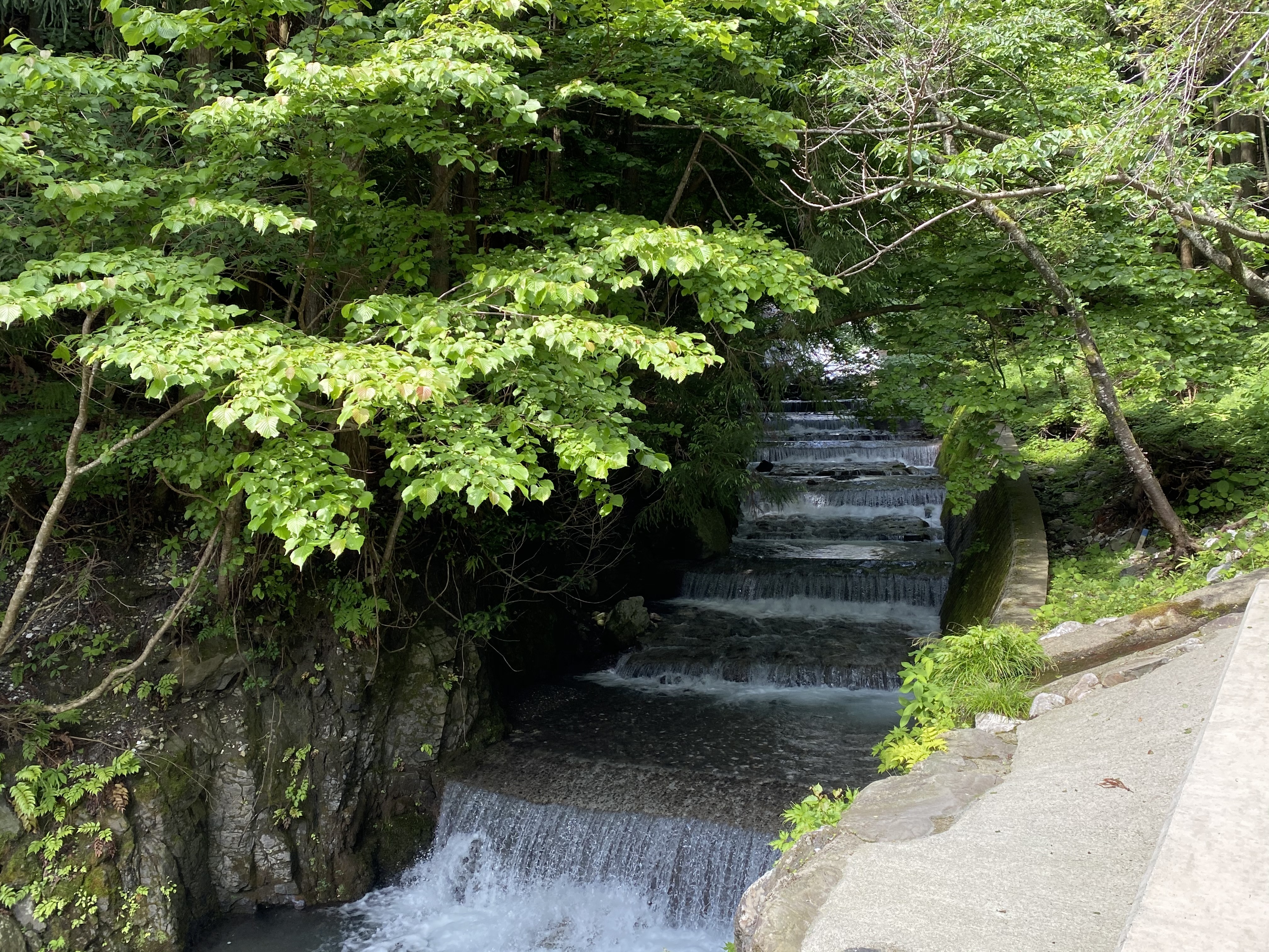 さざれ石公園　川