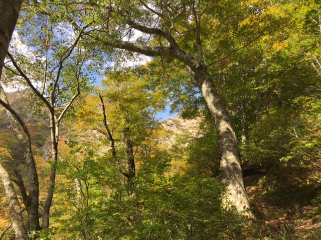 登山道