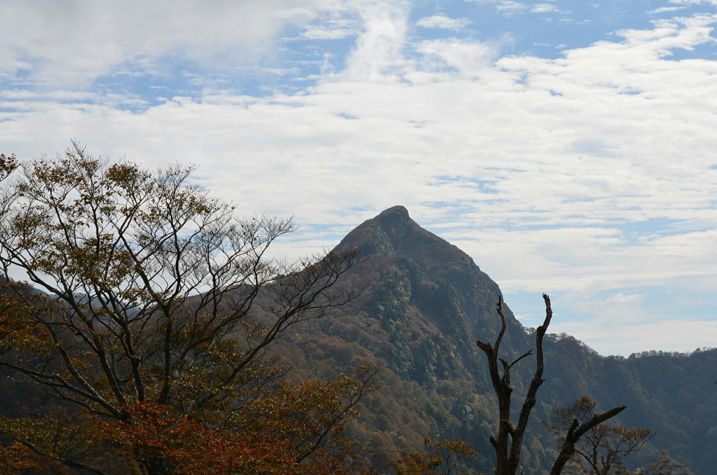 冠山の写真