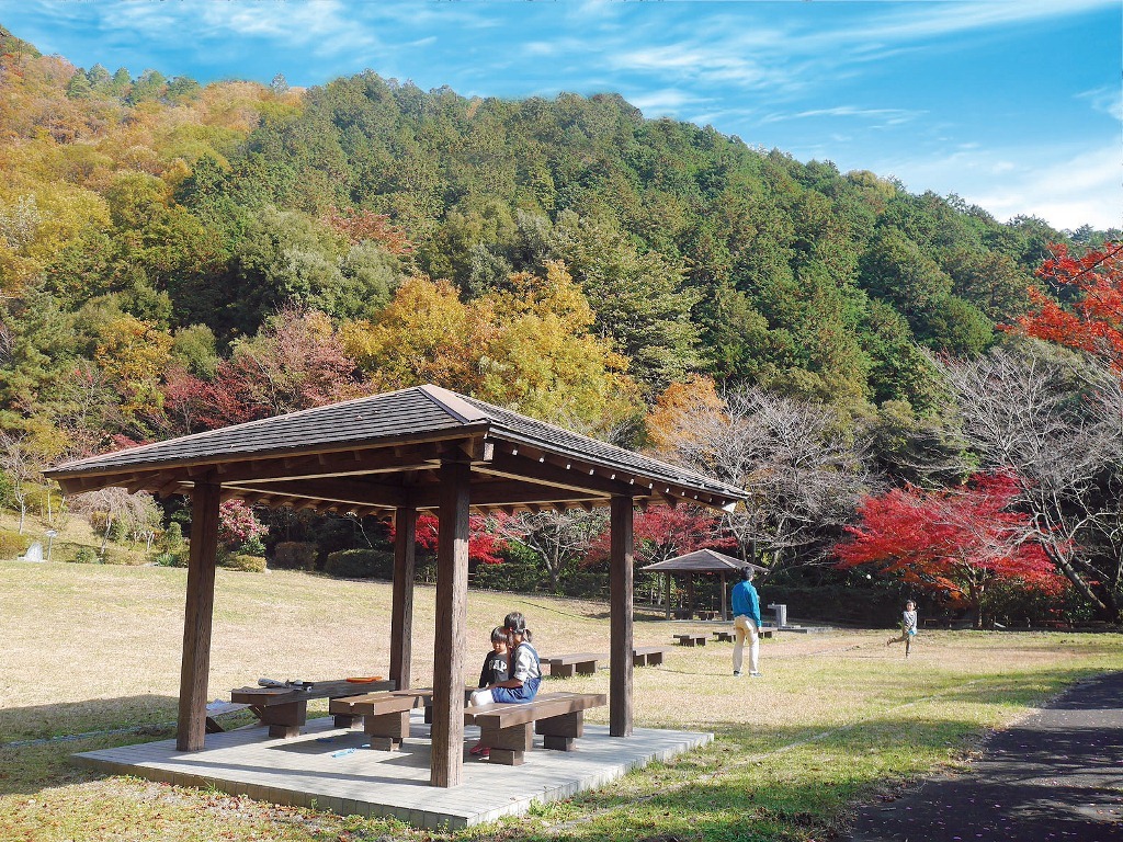 城台山公園「播隆の森」の写真