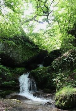 春日　大平八滝