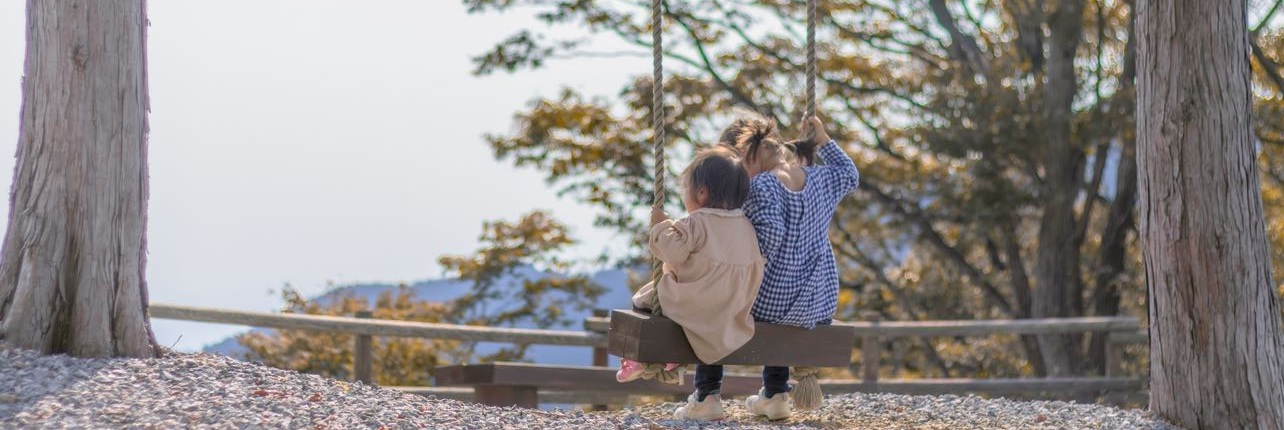 天空のブランコの写真