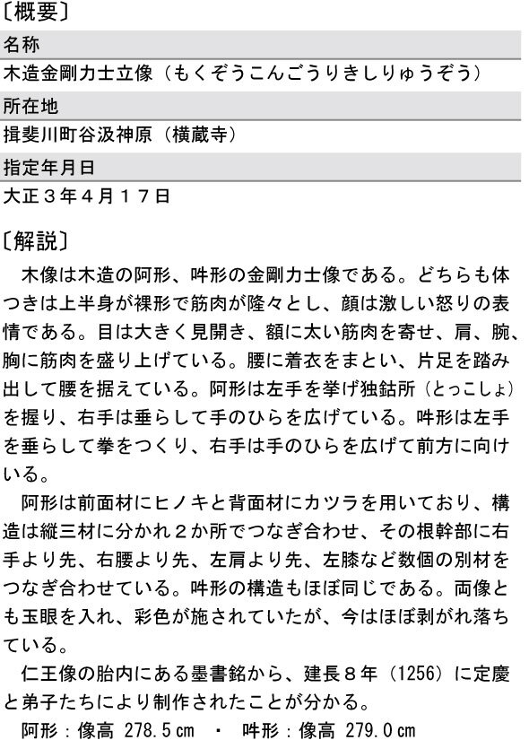 木造金剛力士立像（国指定・彫刻）の概要と解説の画像
