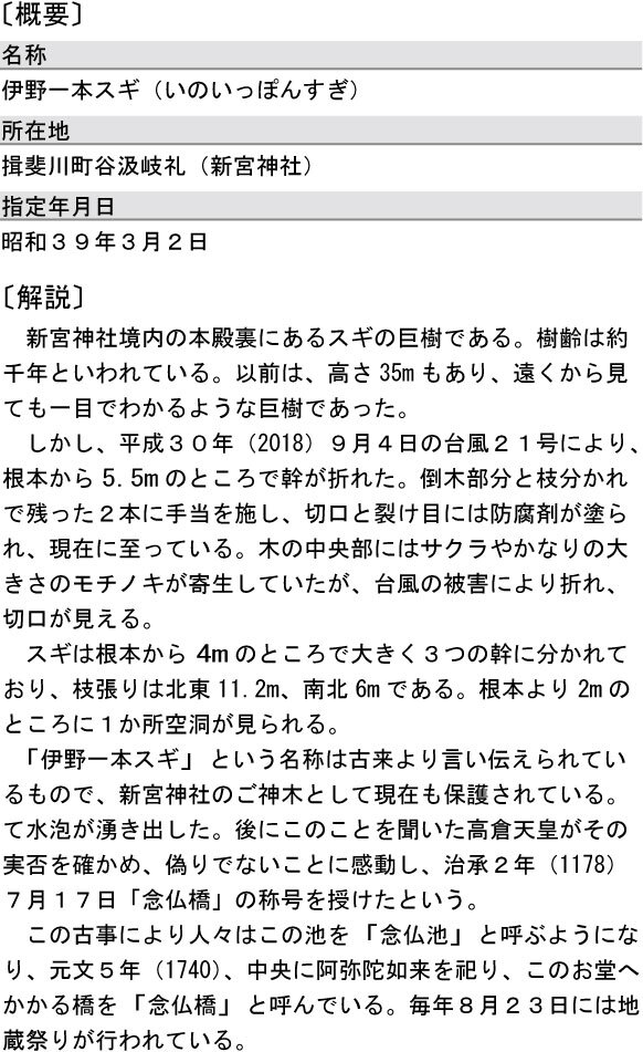 伊野一本杉（県指定・天然記念物）の概要と解説の画像