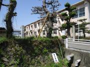 清水小学校の画像