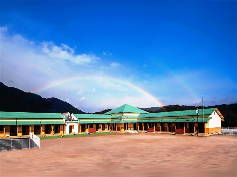 やまと・きたがた幼児園の全景の画像