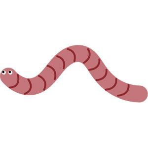 ミミズの画像