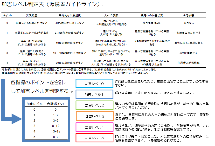 加害レベル判定表