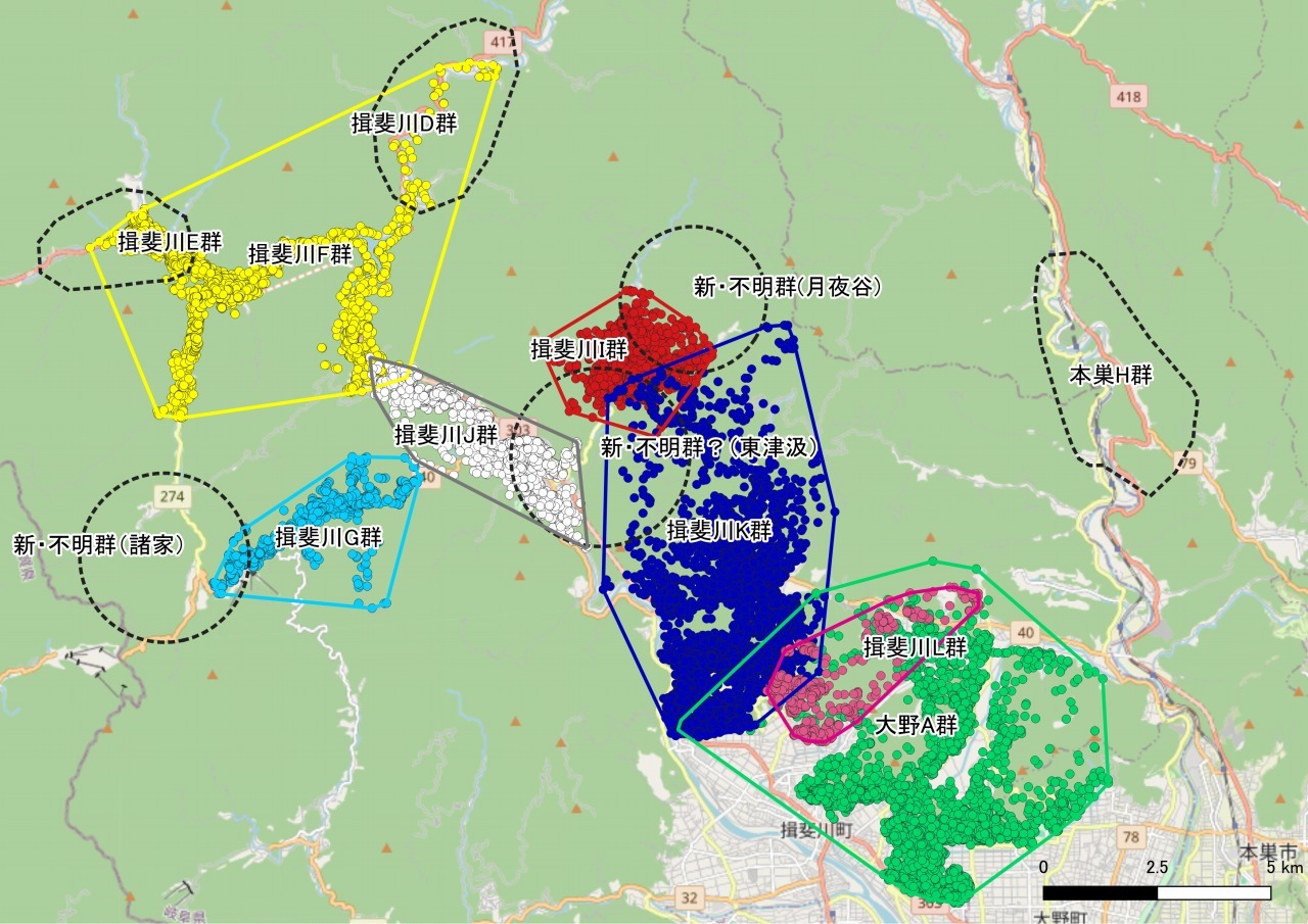 群れの全体像の画像