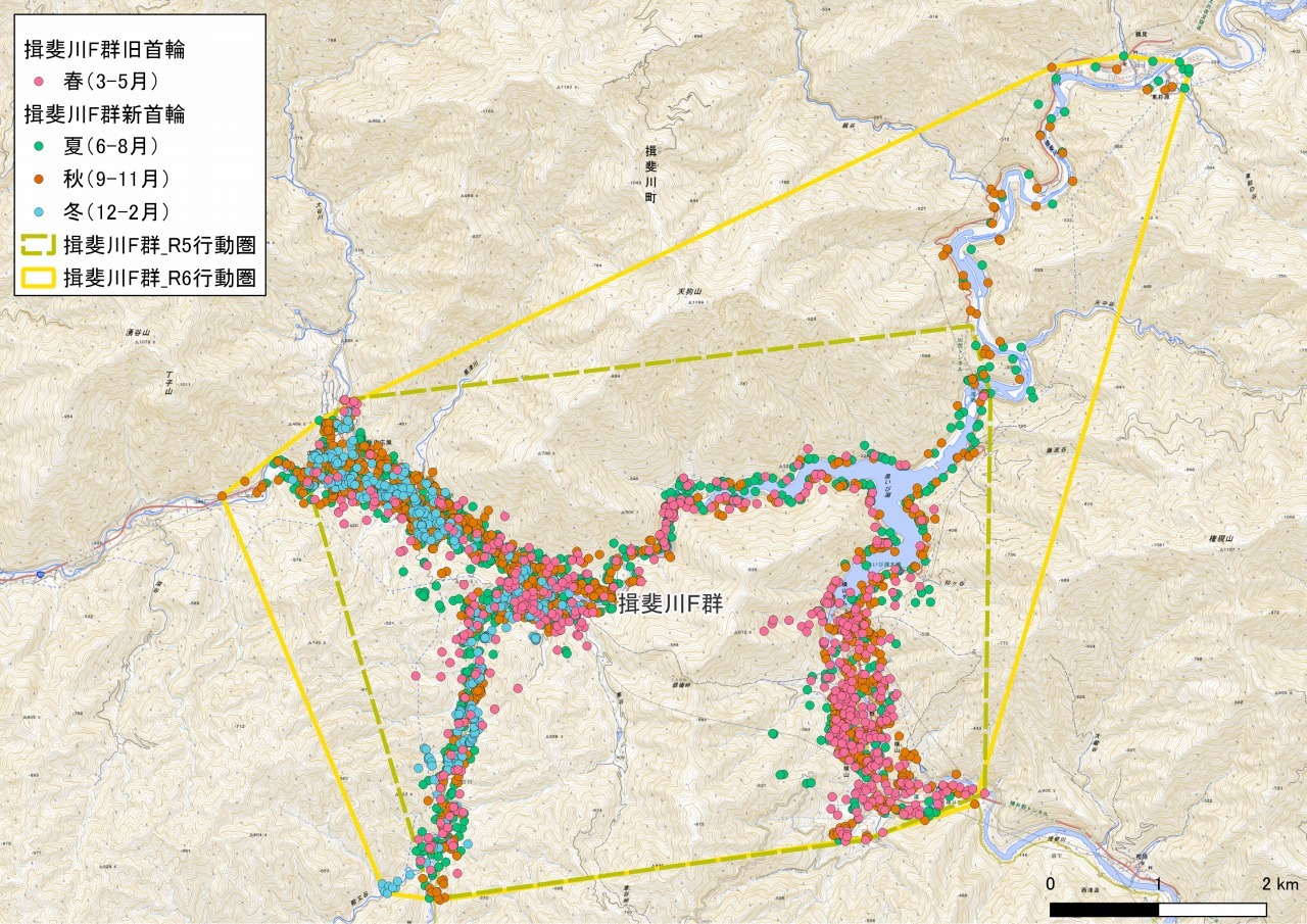 揖斐川F群の画像