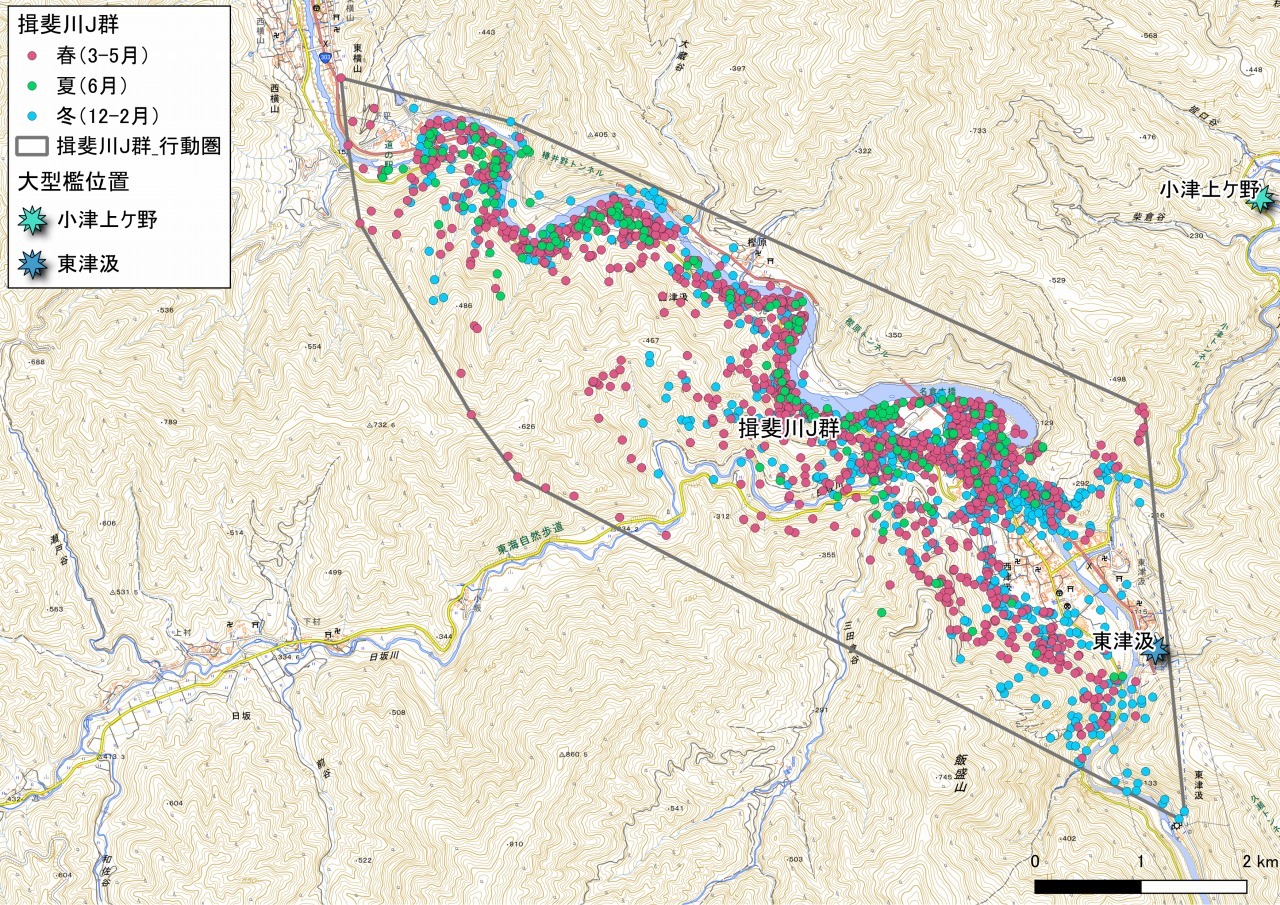 揖斐川J群の画像