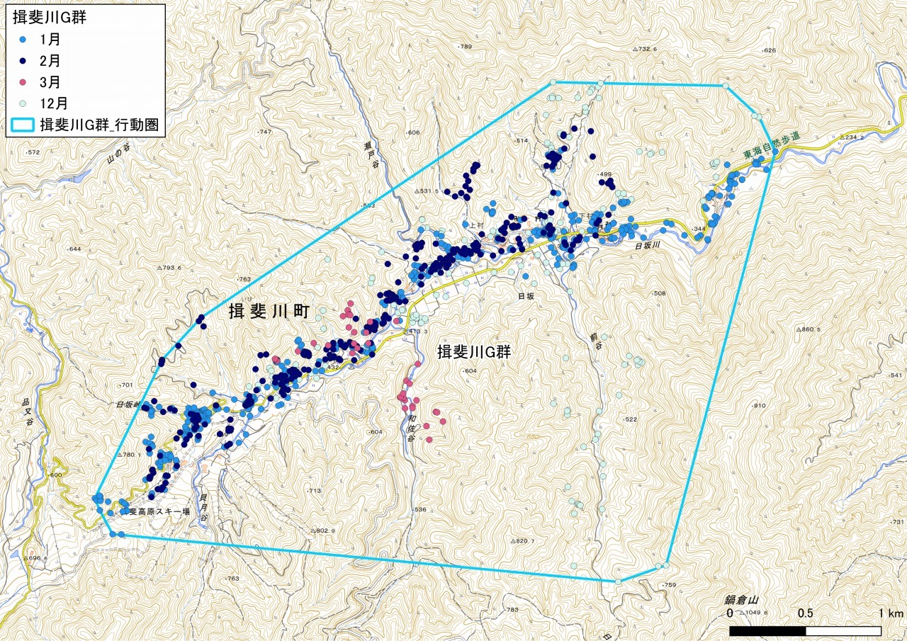 揖斐川G群の画像