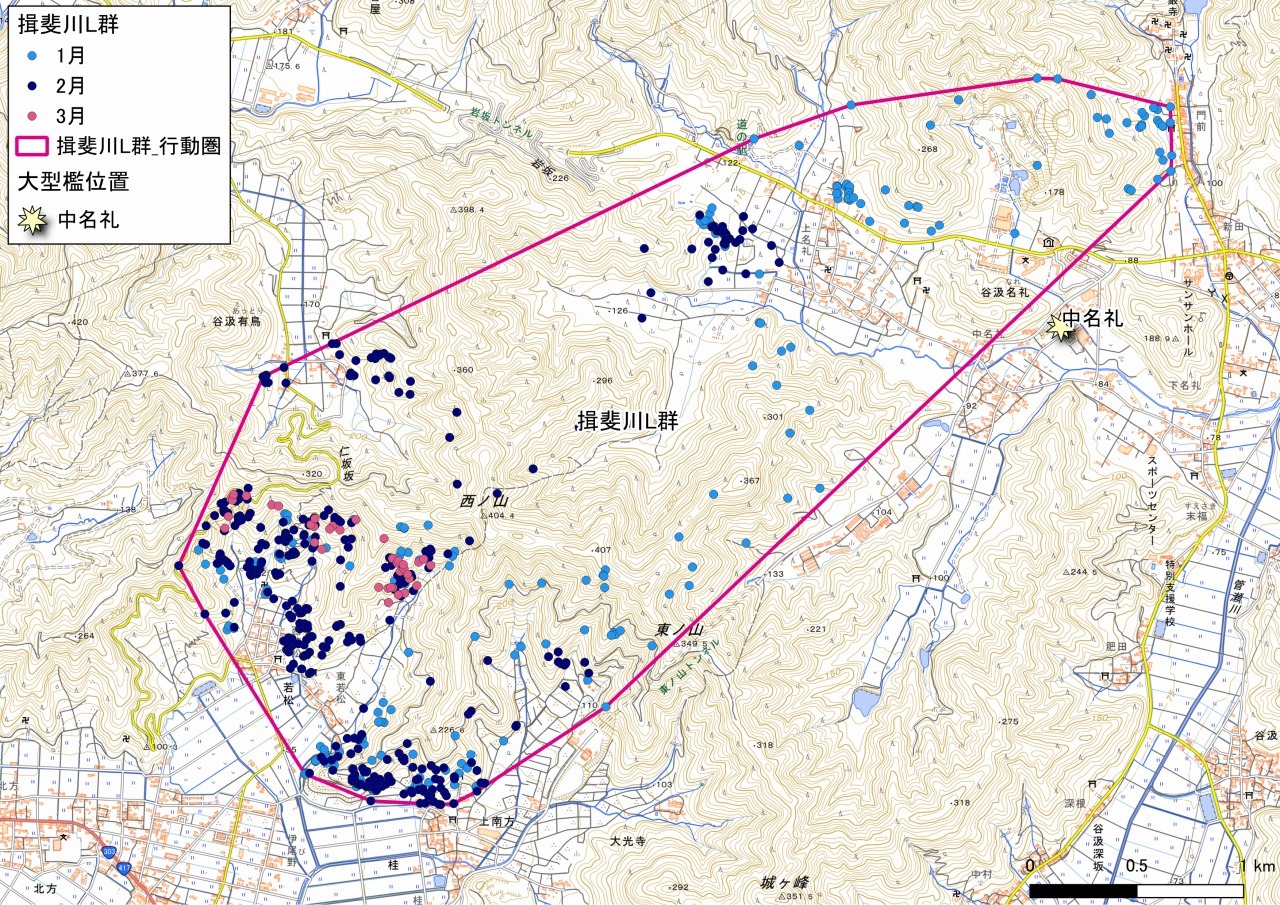 揖斐川L群の画像