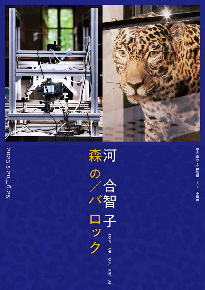 河合智子　森の／バロックの画像