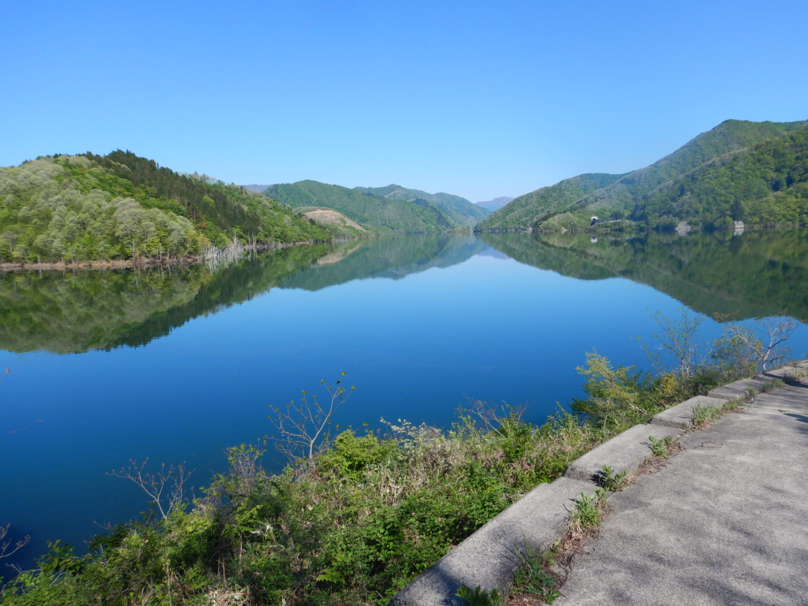 春の徳山湖の画像