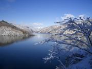 冬の徳山湖の画像