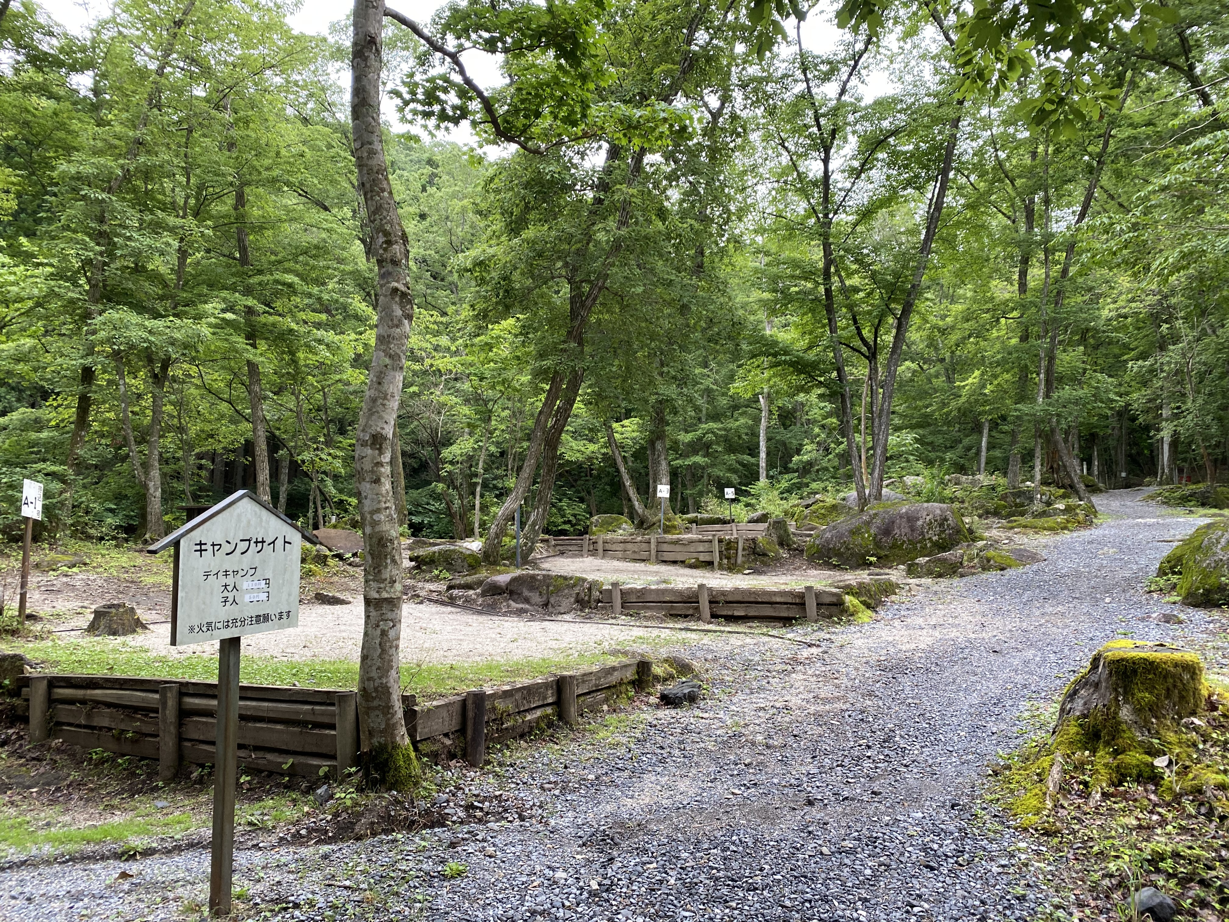 キャンプサイト