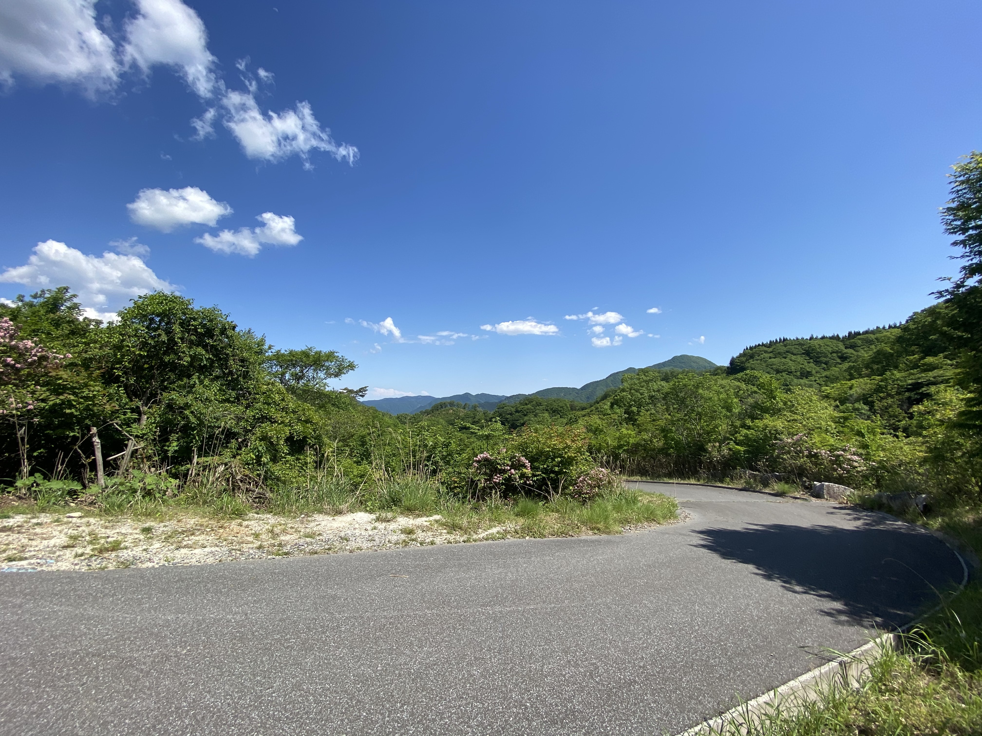 周辺の様子の画像1