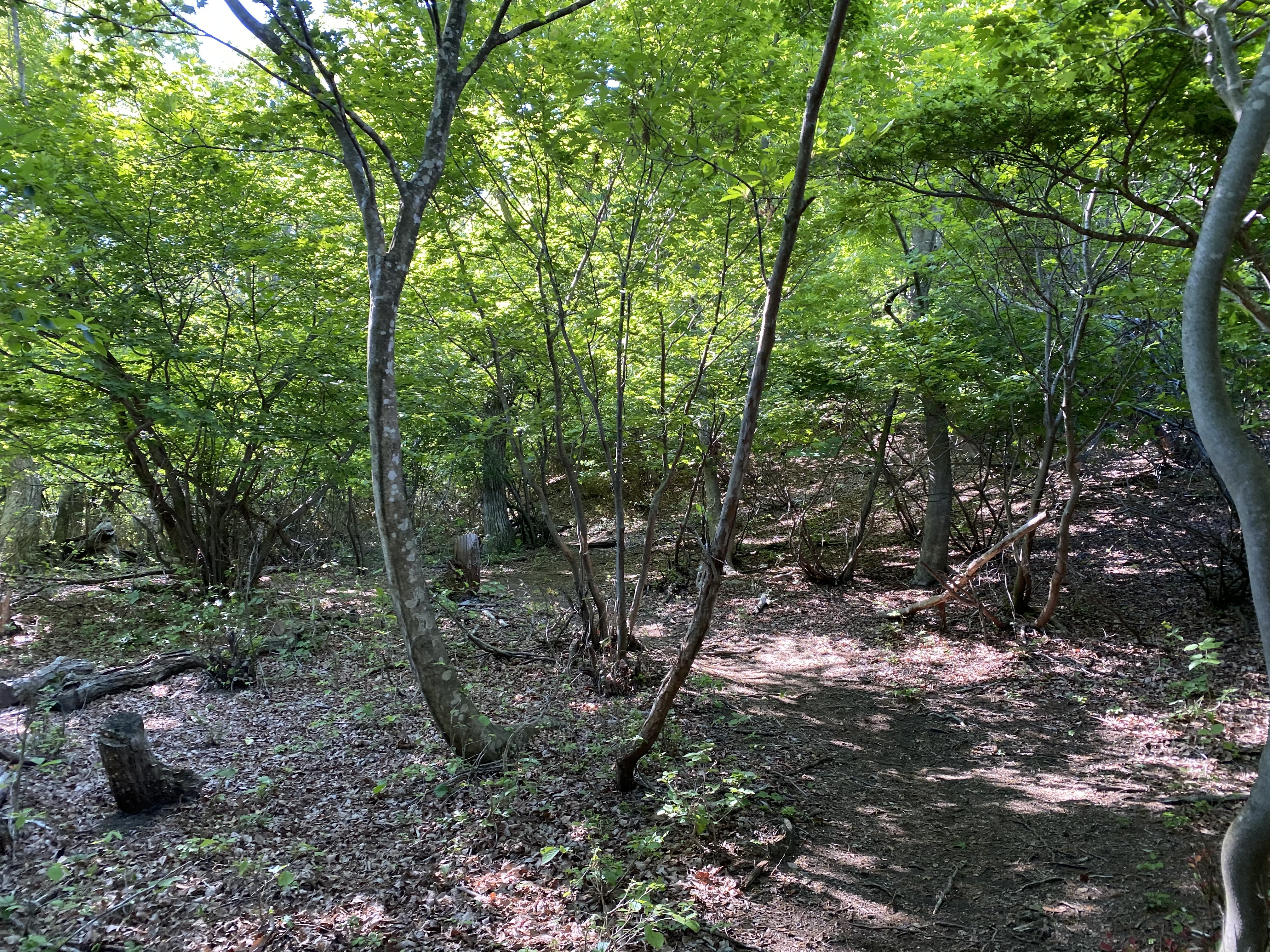 周辺の様子の画像2