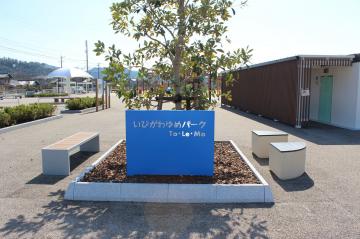 どんぐりの木の画像