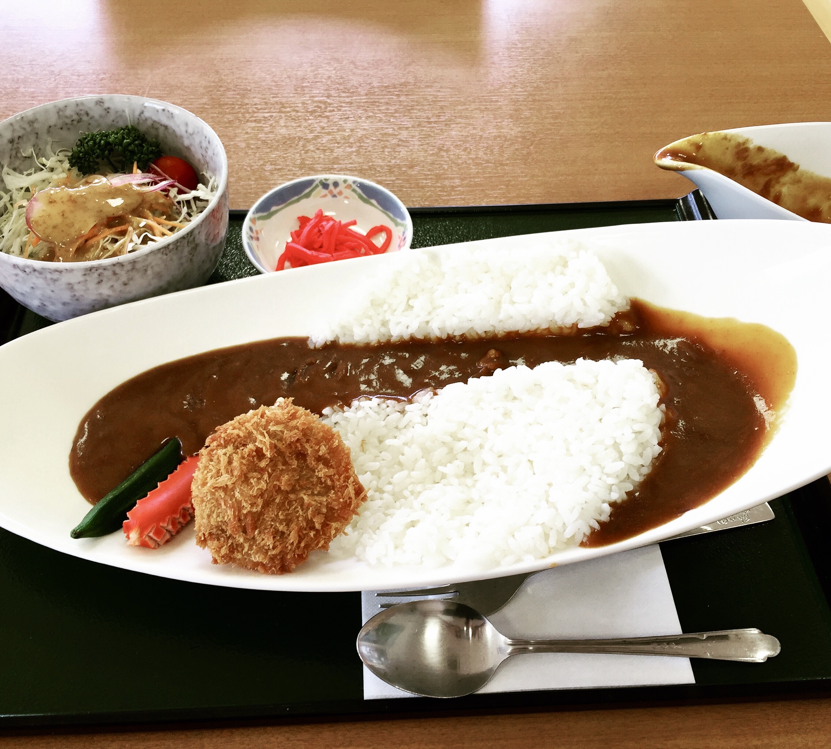 徳山ダムカレーの画像