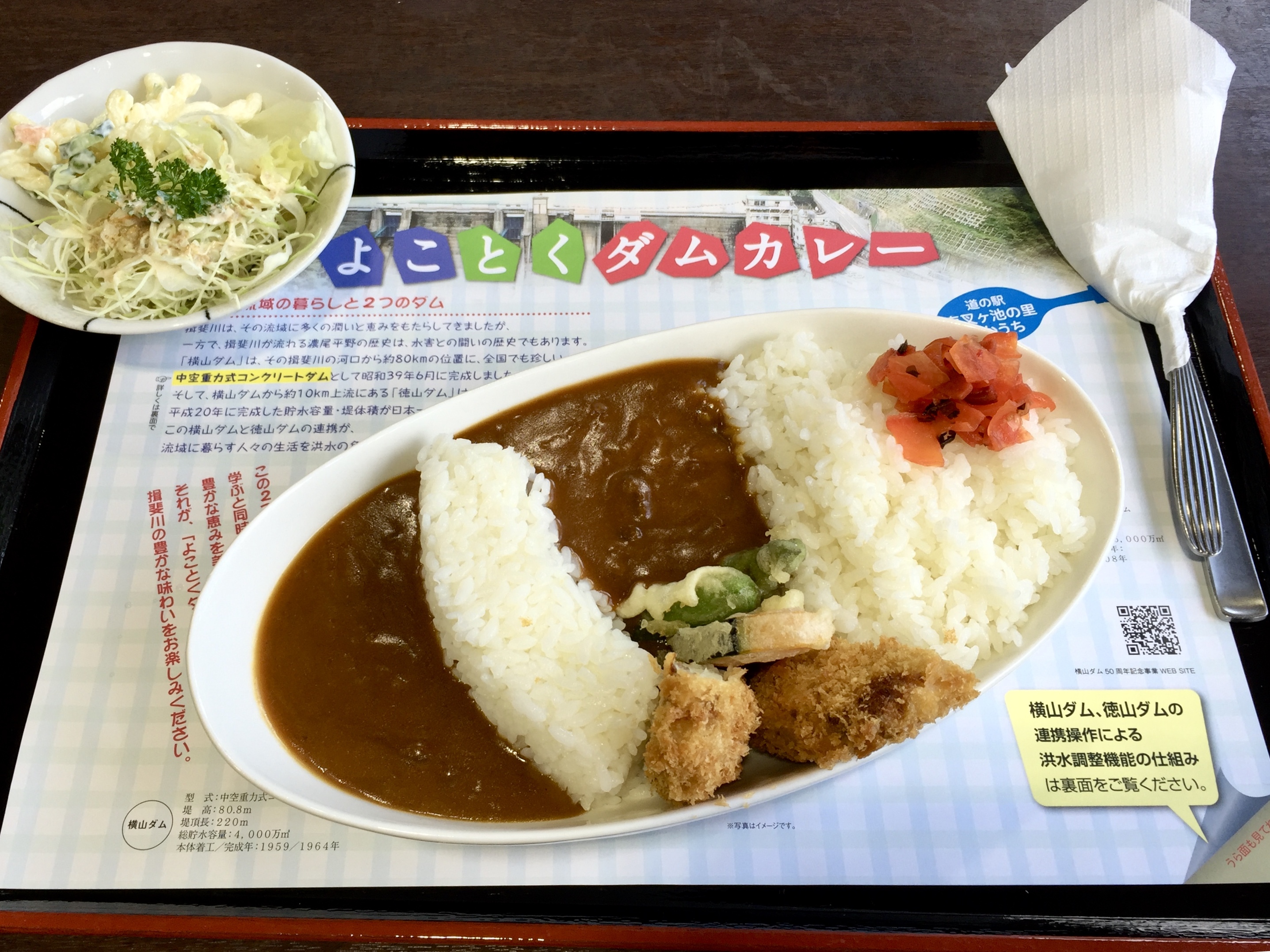 さかうち横徳ダムカレーの画像