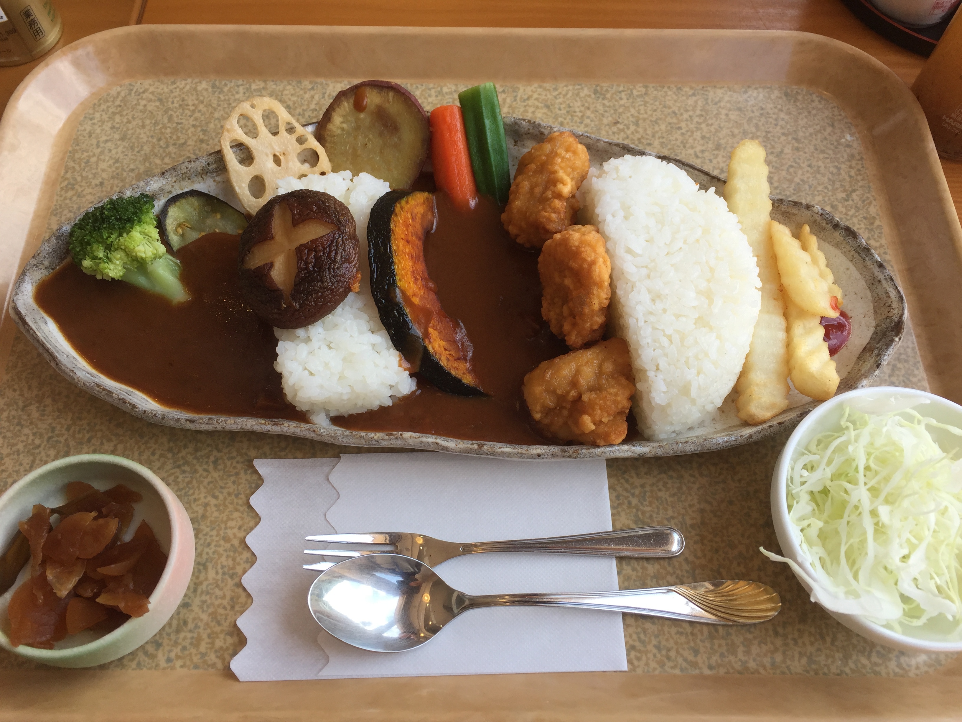 藤橋横徳ダムカレーの画像