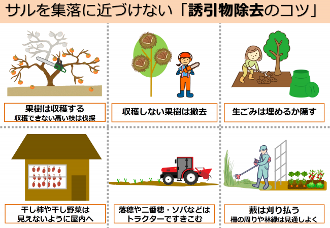 誘因物除去のコツの画像