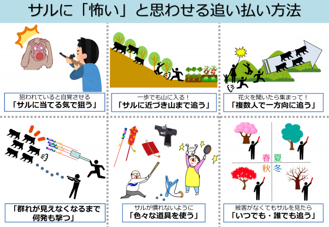 追い払い方法の画像