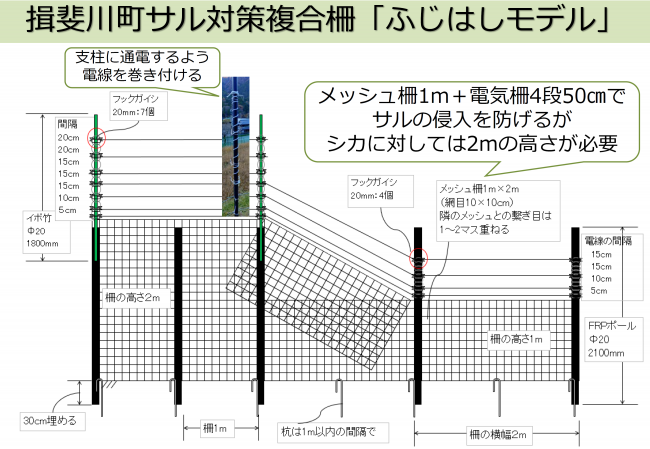 ふじはしモデルの画像１