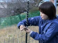 Lesson2の支柱通電部の施工の様子の写真