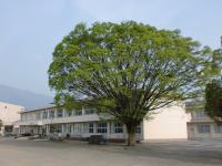 大和小学校の写真