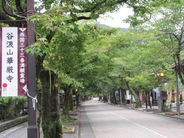 谷汲山華厳寺紅葉
