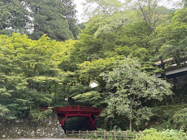 横蔵寺紅葉